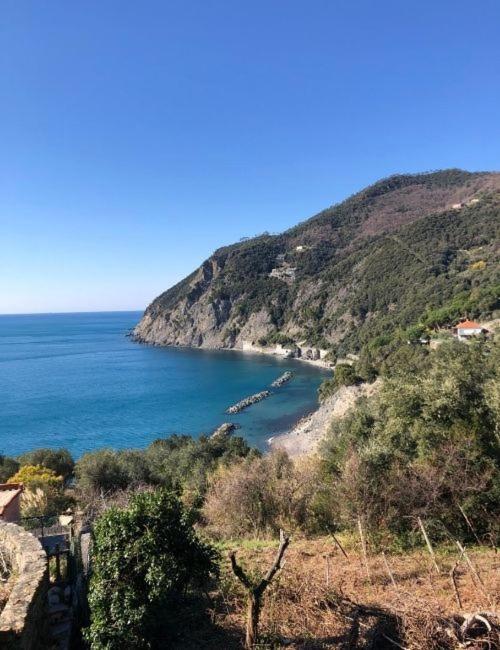 Eden Hotel Deiva Marina Dış mekan fotoğraf